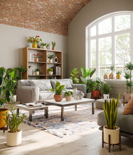 Load image into Gallery viewer, Evening Sky stand:nine_stands