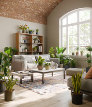 Load image into Gallery viewer, Winding River