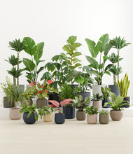 Load image into Gallery viewer, Winding River*****Profile