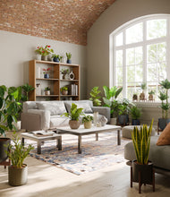 Load image into Gallery viewer, Winding River stand:nine_stands