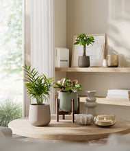 Load image into Gallery viewer, Earthy stand:one_stand