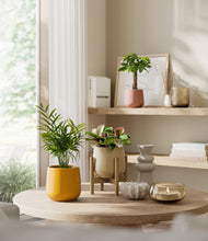 Load image into Gallery viewer, Evening Sky stand:one_stand