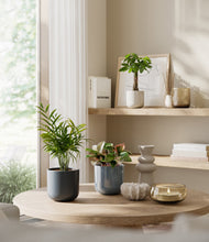 Load image into Gallery viewer, Pebble Shore