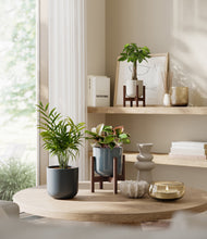 Load image into Gallery viewer, Pebble Shore stand:two_stands