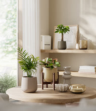 Load image into Gallery viewer, Woodland stand:one_stand