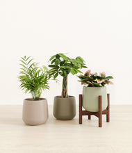 Load image into Gallery viewer, Earthy stand:one_stand