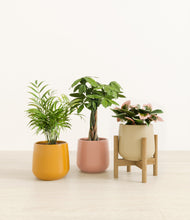 Load image into Gallery viewer, Evening Sky stand:one_stand