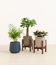 Load image into Gallery viewer, Winding River stand:two_stands