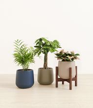 Load image into Gallery viewer, Winding River stand:one_stand