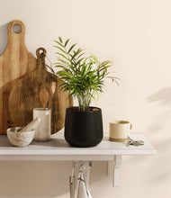 Load image into Gallery viewer, Black