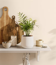 Load image into Gallery viewer, White