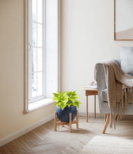 Load image into Gallery viewer, Deep Navy stand:bamboo