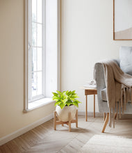 Load image into Gallery viewer, Shiny EggWhite stand:bamboo