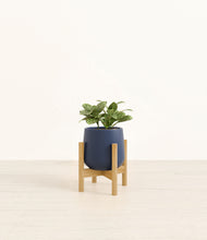 Load image into Gallery viewer, Deep Navy stand:bamboo