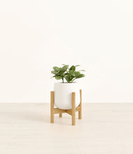 Load image into Gallery viewer, White stand:bamboo