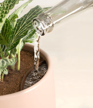 Load image into Gallery viewer, Gentle Pink stand:all