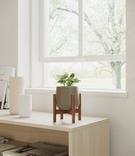 Load image into Gallery viewer, Olive stand:walnut