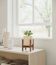 Load image into Gallery viewer, Almond Green stand:walnut