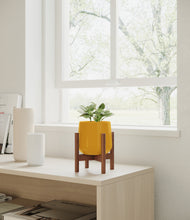Load image into Gallery viewer, Mustard stand:walnut