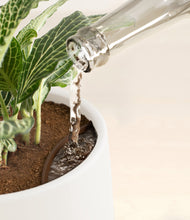 Load image into Gallery viewer, White stand:all