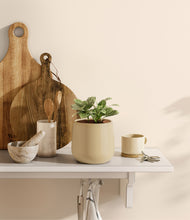 Load image into Gallery viewer, Almond Green