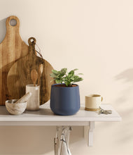 Load image into Gallery viewer, Deep Navy