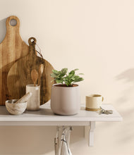 Load image into Gallery viewer, Eternal Gray