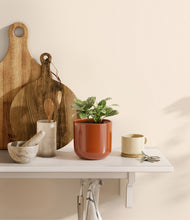 Load image into Gallery viewer, Glossy Red