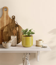 Load image into Gallery viewer, Key Lime Yellow