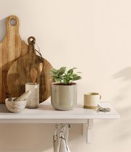 Load image into Gallery viewer, Sage Green