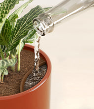 Load image into Gallery viewer, Glossy Red stand:all