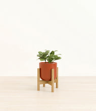 Load image into Gallery viewer, Glossy Red stand:bamboo