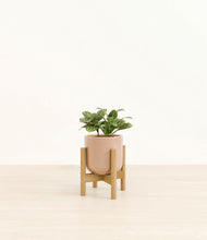 Load image into Gallery viewer, Glossy Pink stand:bamboo