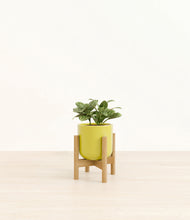 Load image into Gallery viewer, Key Lime Yellow stand:bamboo