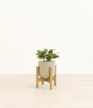 Load image into Gallery viewer, Sage Green stand:bamboo
