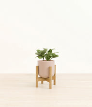 Load image into Gallery viewer, Sandy Pink stand:bamboo