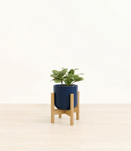 Load image into Gallery viewer, Twilight Blue stand:bamboo