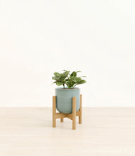 Load image into Gallery viewer, Reactive Aqua stand:bamboo