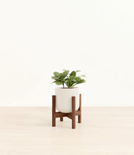 Load image into Gallery viewer, Cotton White stand:walnut