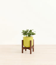 Load image into Gallery viewer, Key Lime Yellow stand:walnut