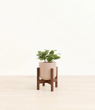 Load image into Gallery viewer, Sandy Pink stand:walnut