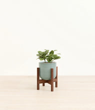Load image into Gallery viewer, Reactive Aqua stand:walnut