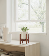 Load image into Gallery viewer, Cotton White stand:walnut