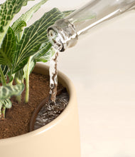 Load image into Gallery viewer, Almond Green stand:all