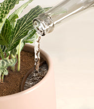 Load image into Gallery viewer, Gentle Pink stand:all