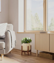 Load image into Gallery viewer, Almond Green stand:walnut