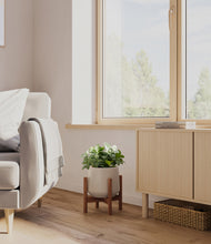 Load image into Gallery viewer, Eternal Gray stand:walnut