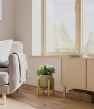 Load image into Gallery viewer, Olive stand:bamboo