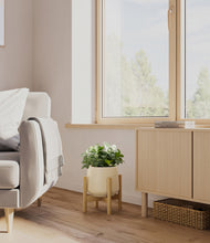 Load image into Gallery viewer, Almond Green stand:bamboo