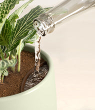 Load image into Gallery viewer, Turquoise stand:all